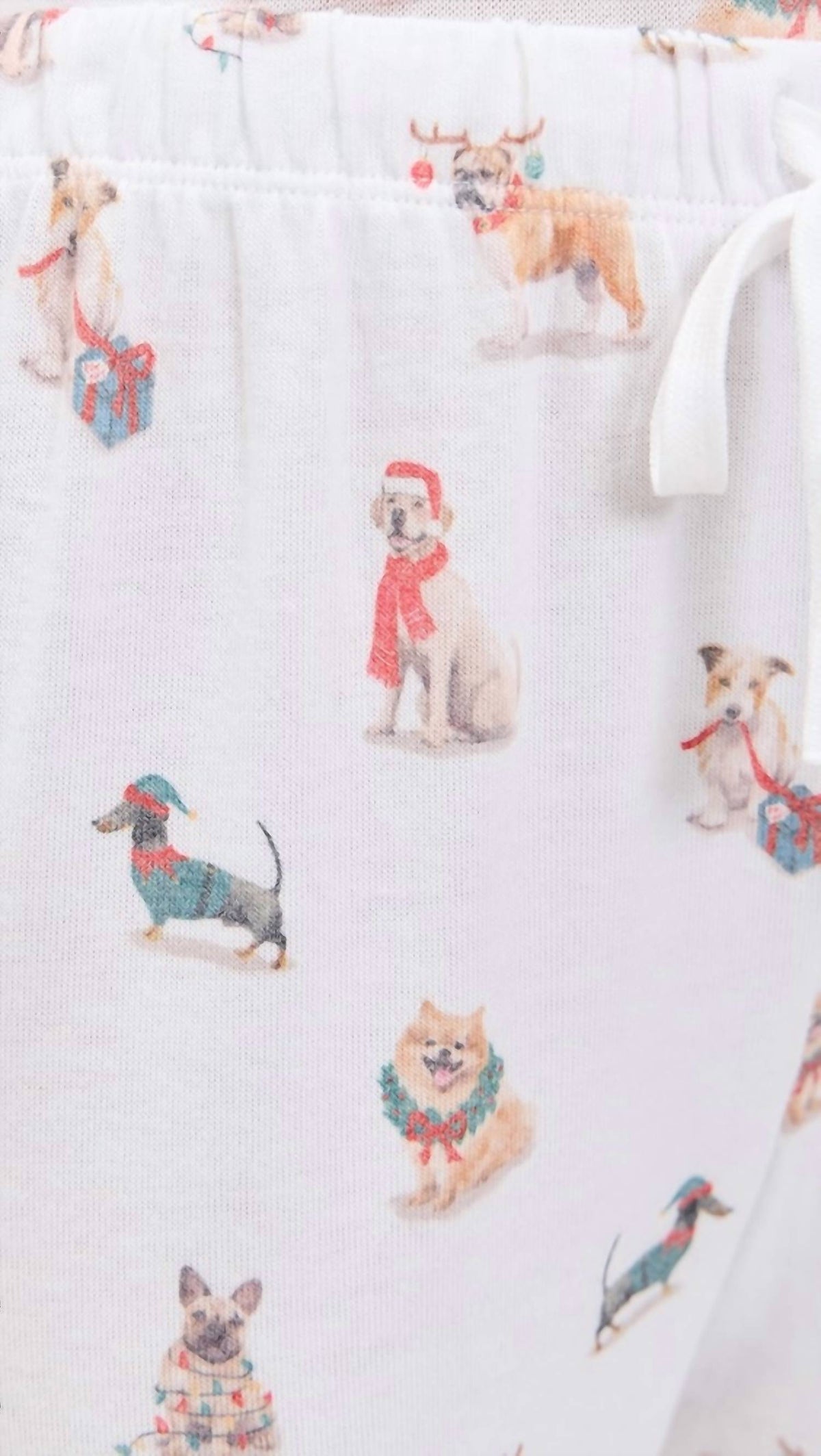 Z Supply - Softest Pajama Bottom