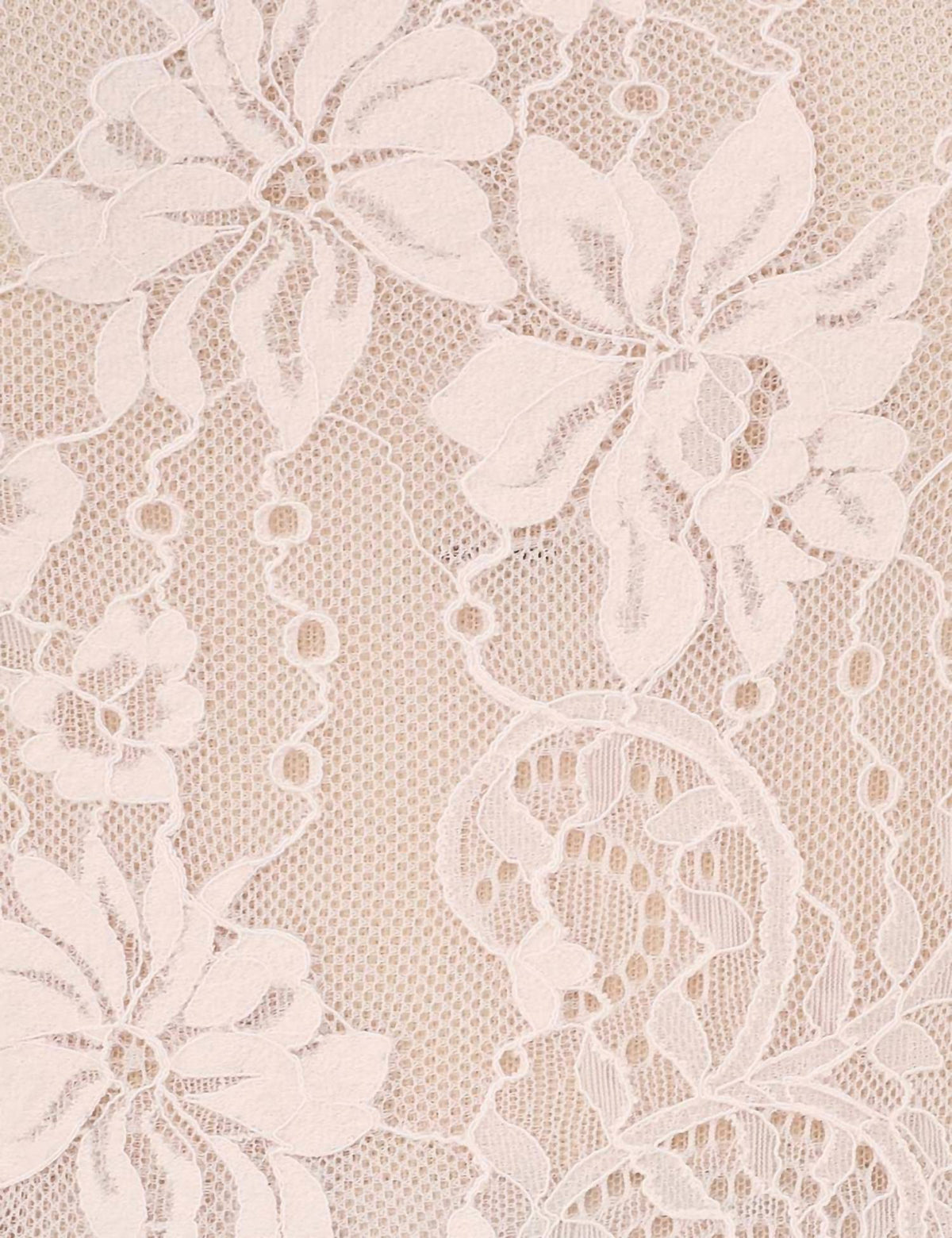 Zimmermann - Lace Scoop Neck Bodysuit